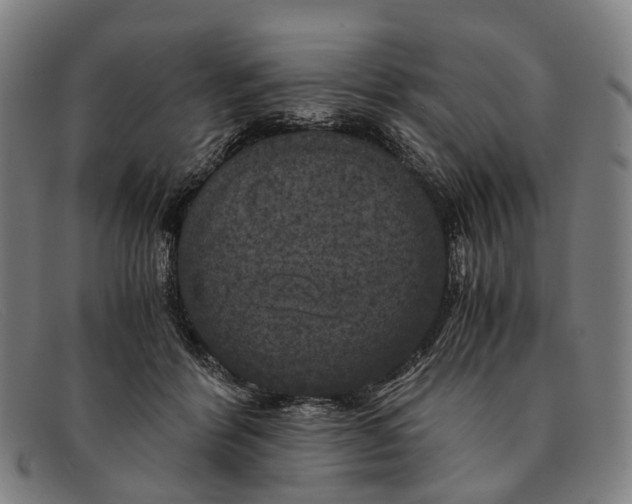 X0000091480412200709131815