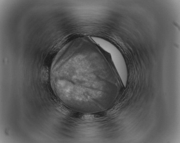 X0000091480413200709131815