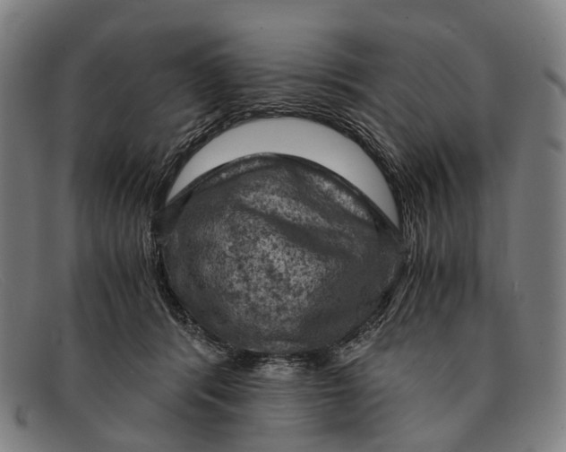 X0000091480416200709131815