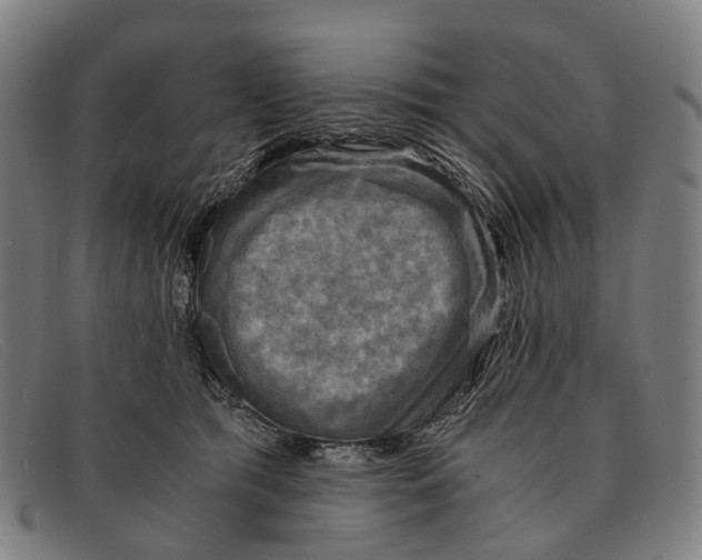 X0000091480417200709131815