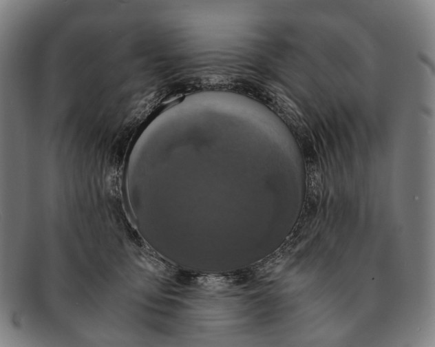 X0000091480419200709131815