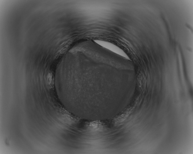 X0000091480420200709131815