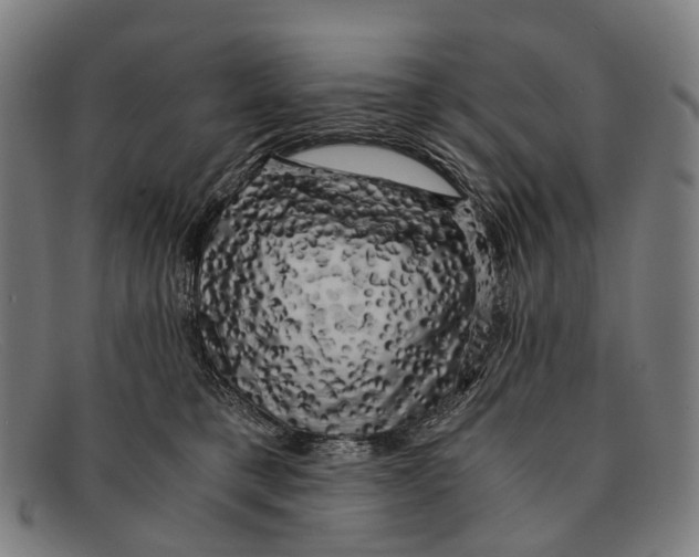 X0000091480421200709131815