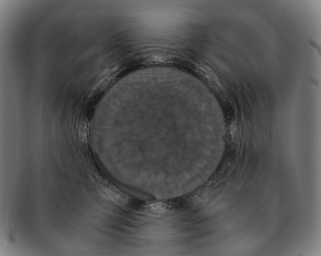 X0000091480423200709131815