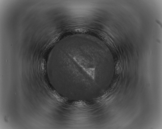 X0000091480424200709131815