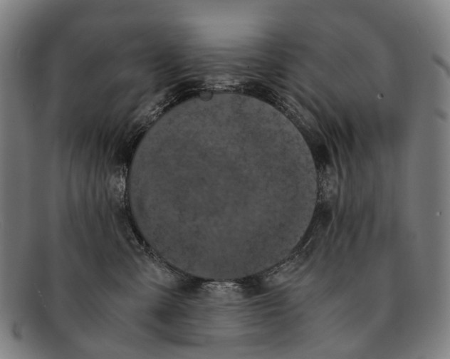 X0000091480427200709131815