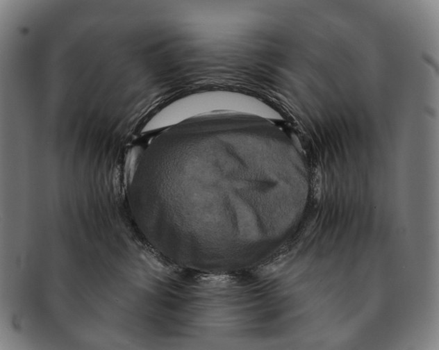 X0000091480428200709131815