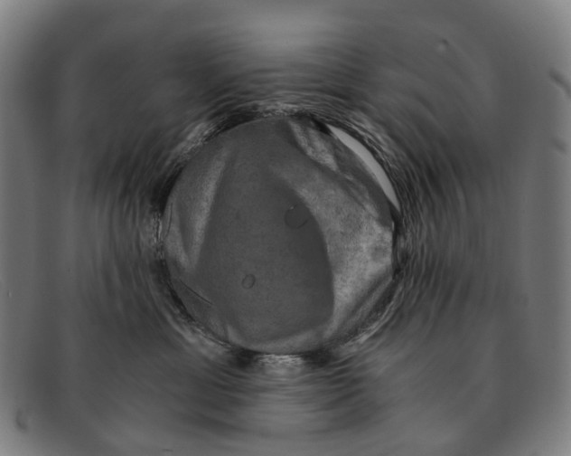 X0000091480429200709131815