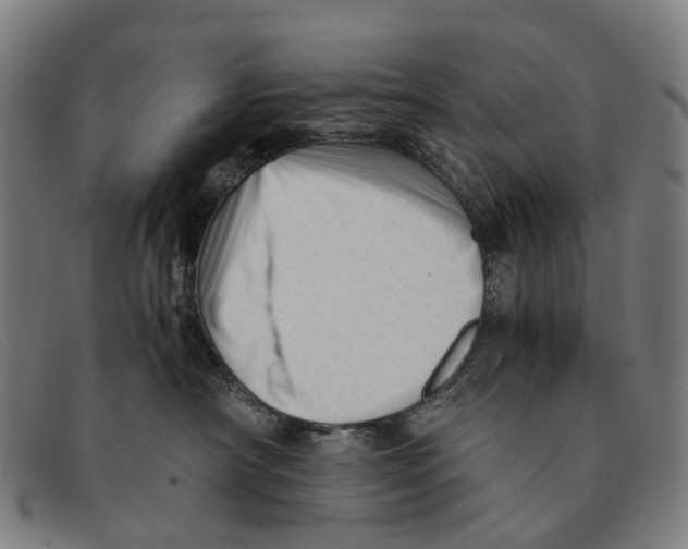 X0000091480430200709131815