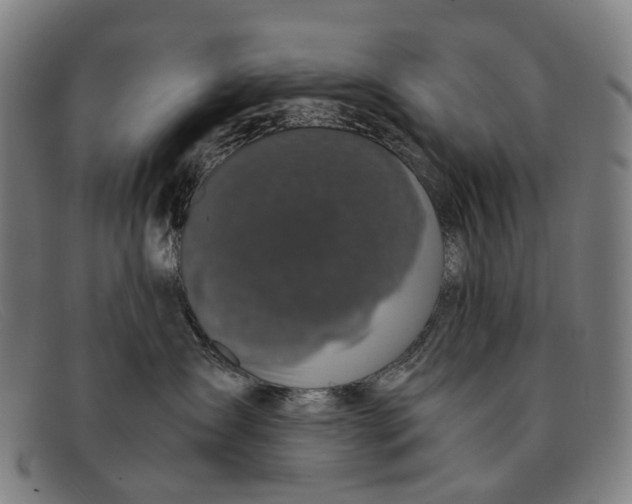 X0000091480431200709131815