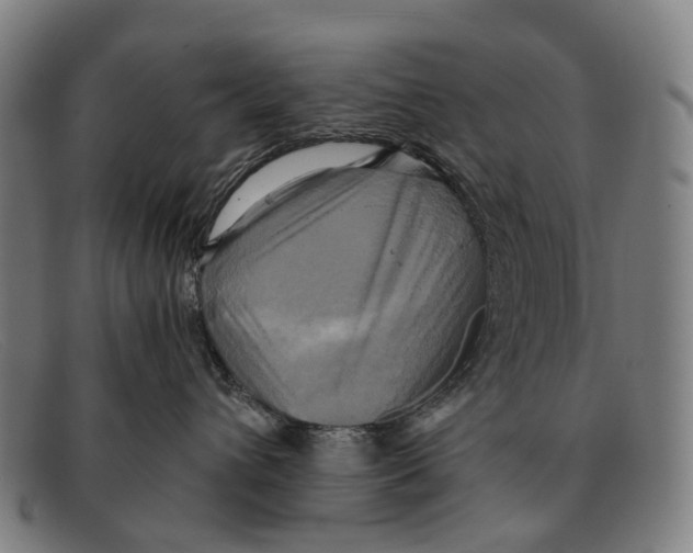 X0000091480432200709131815