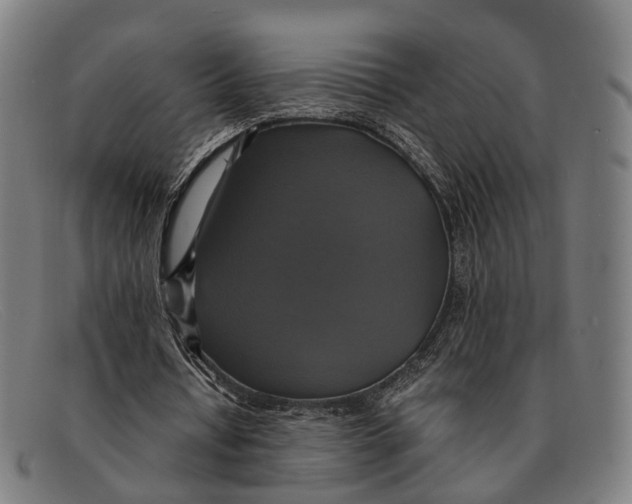 X0000091480434200709131814