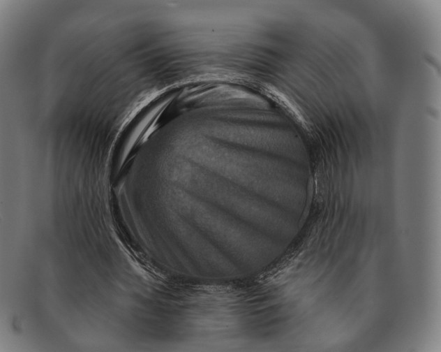 X0000091480436200709131814