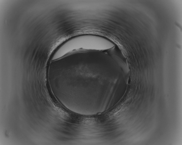 X0000091480438200709131814