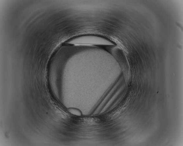 X0000091480439200709131814