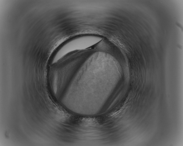 X0000091480440200709131814