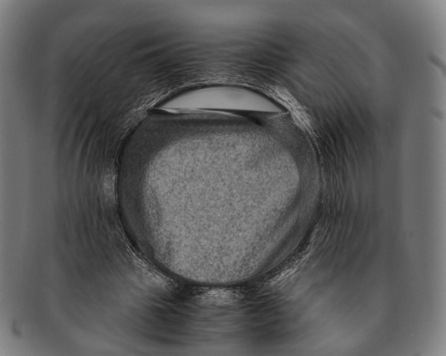 X0000091480441200709131814