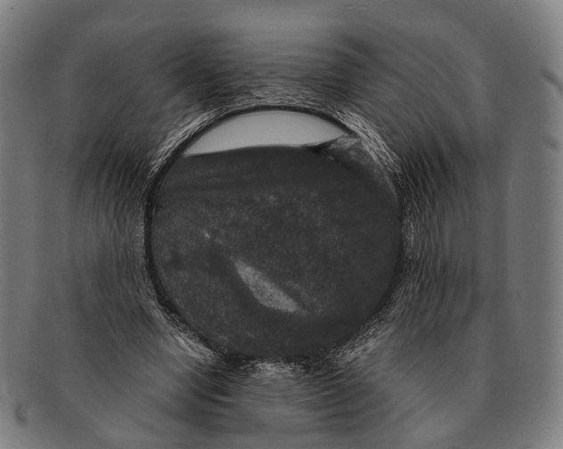 X0000091480442200709131814