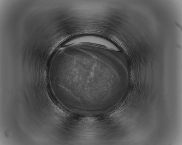 X0000091480444200709131814