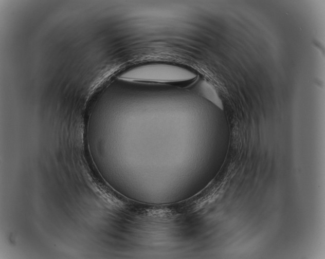 X0000091480446200709131814