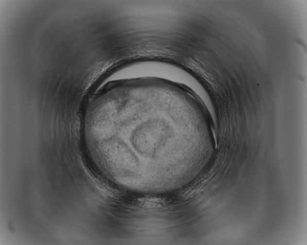 X0000091480448200709131814