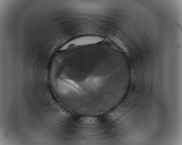 X0000091480449200709131814