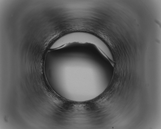 X0000091480450200709131814