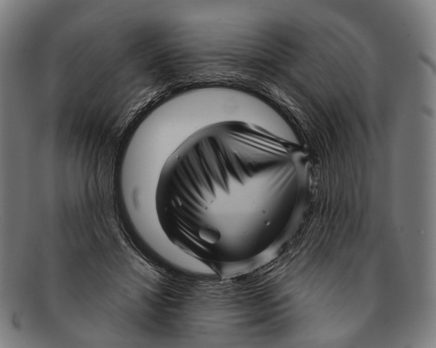 X0000091480452200709131815