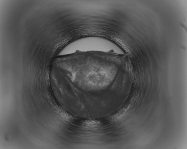 X0000091480453200709131815