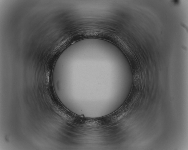 X0000091480454200709131815