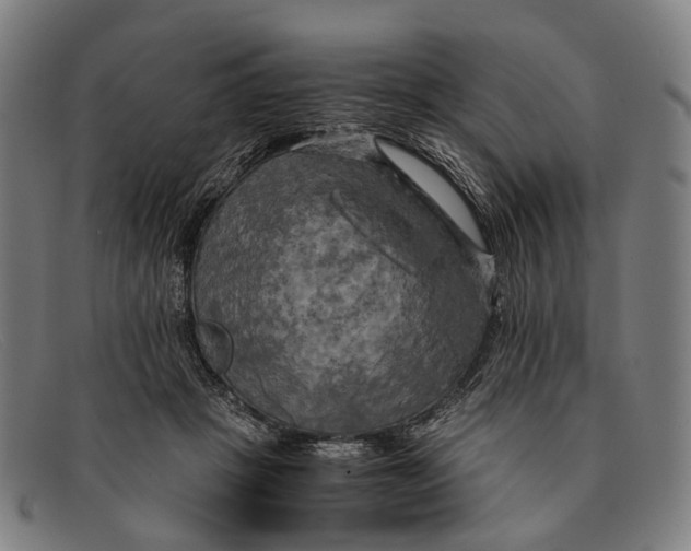 X0000091480457200709131815