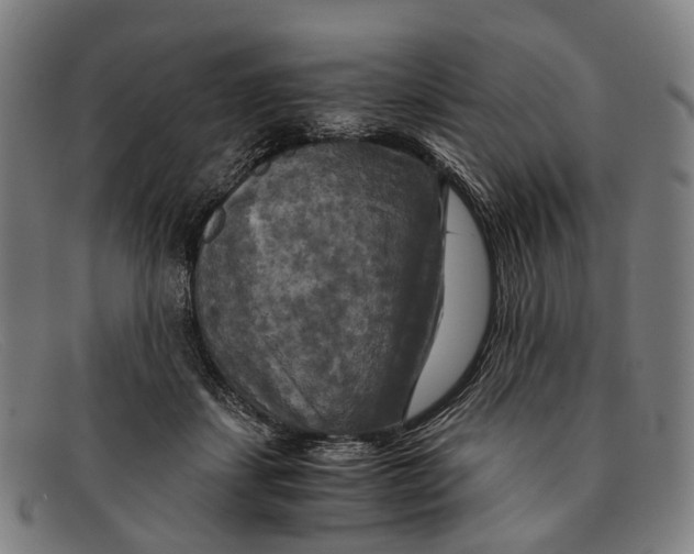 X0000091480459200709131815