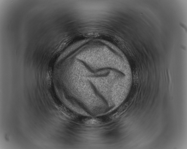 X0000091480460200709131815