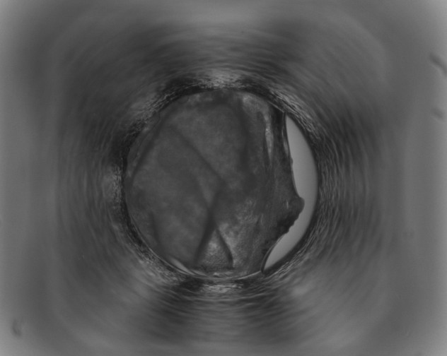 X0000091480461200709131815