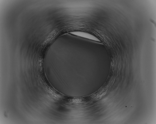 X0000091480462200709131815