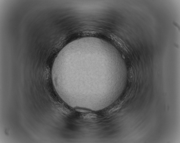 X0000091480463200709131815