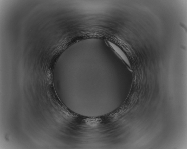 X0000091480465200709131815