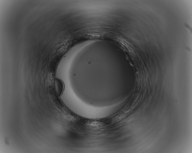 X0000091480467200709131815