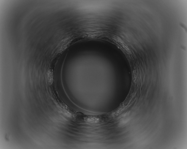 X0000091480471200709131815