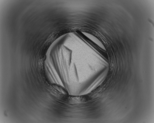 X0000091480473200709131815