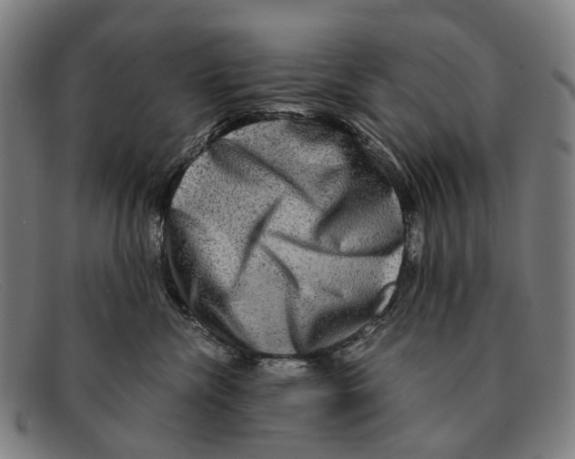 X0000091480476200709131815