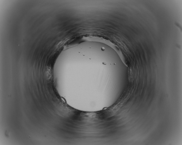 X0000091480478200709131815