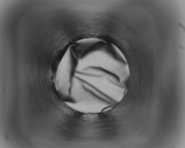 X0000091480480200709131815