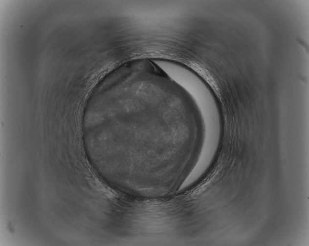 X0000091480481200709131814