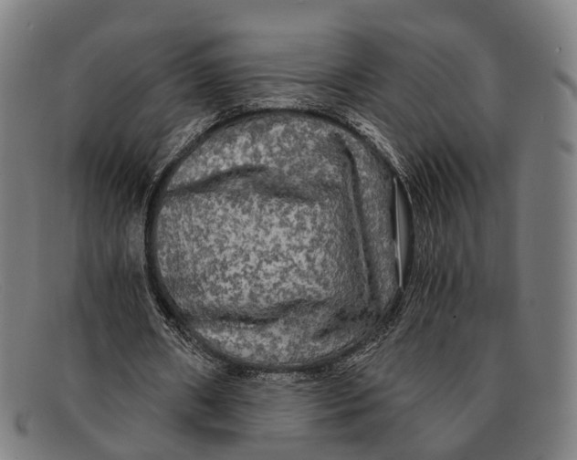 X0000091480482200709131814