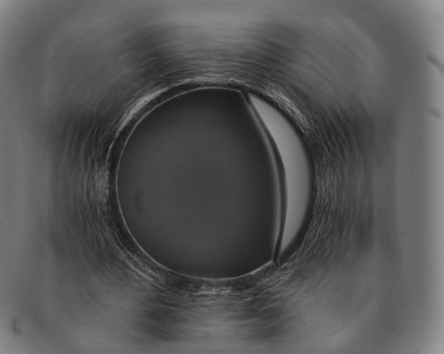 X0000091480484200709131814