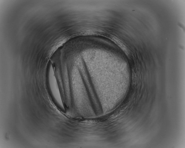 X0000091480485200709131814