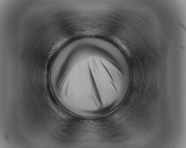 X0000091480486200709131814