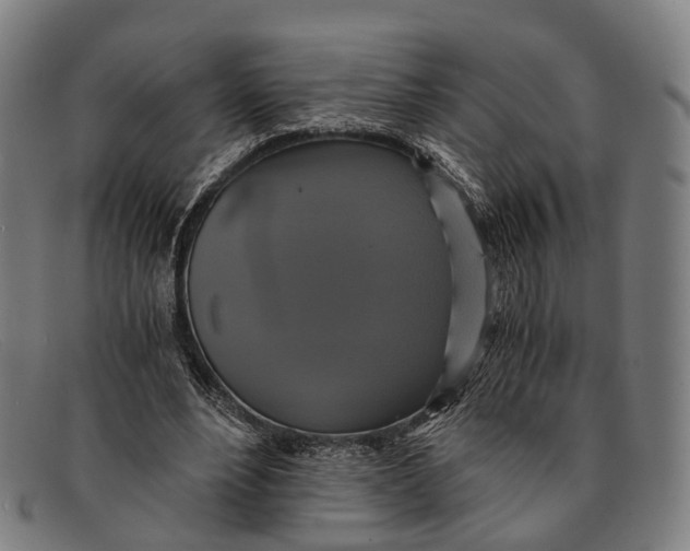 X0000091480488200709131814