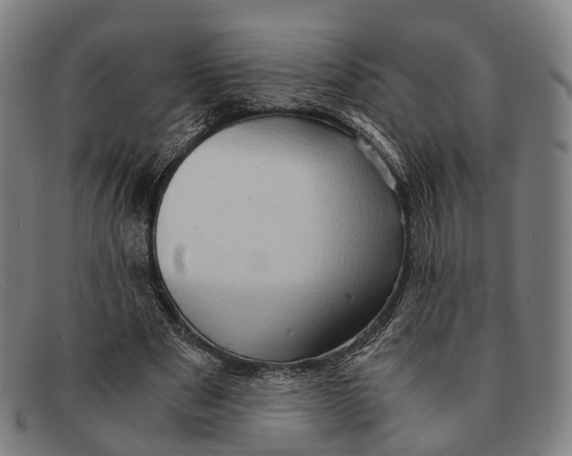 X0000091480489200709131814